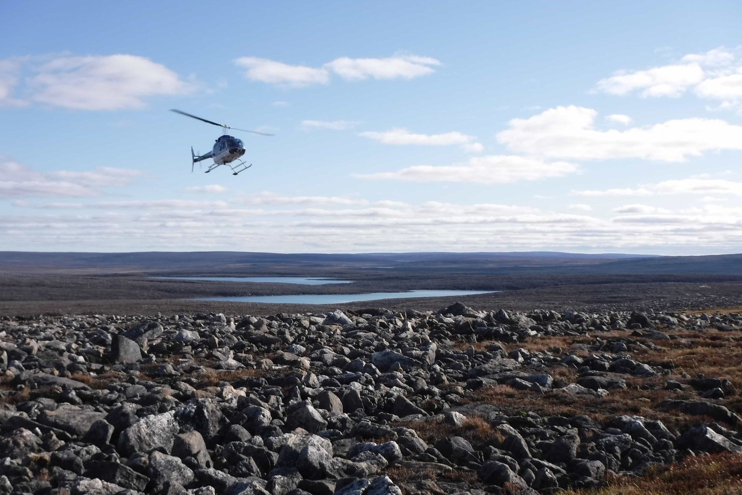 Project Mel